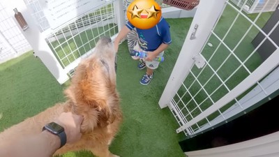 息子くんと合流