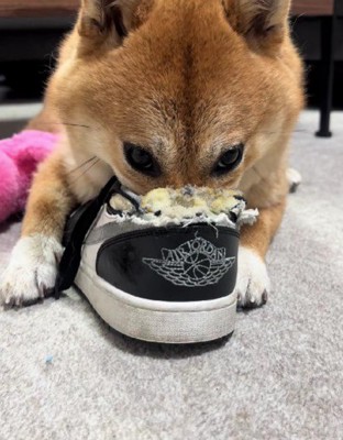 可愛いイタズラも…♪