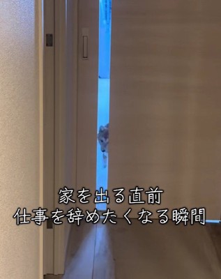 家を出ようとしたら…
