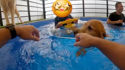 「僕が連れて行くよ!任せて!」