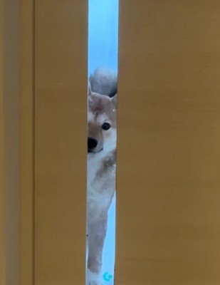「もう行っちゃうの？」