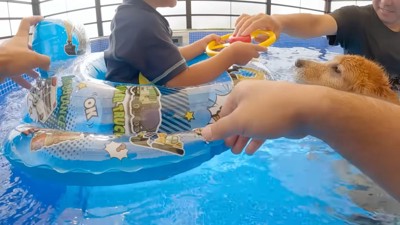 息子くんが浮き輪に乗ったら…