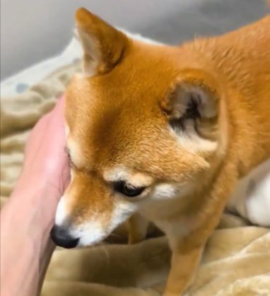 搭載