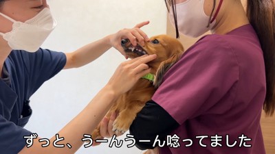 ジャンボくんは文句が止まりません