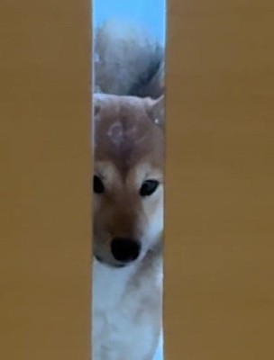 「まだ一緒にいたいよ」