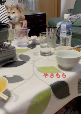 「納得いかないぃ」