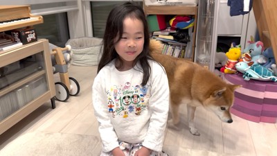 放っておけなくて出動