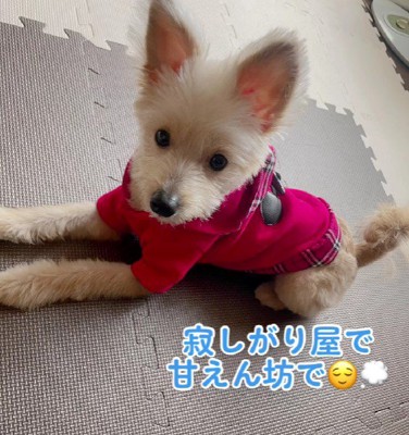 すっかり家族のアイドルに♡