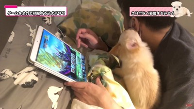全然ゲームに集中できません
