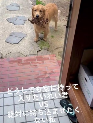「どうしてもダメ…？」