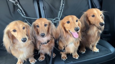 公園に来たと思ってワクワク♪