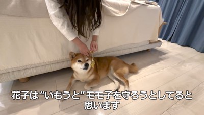 仲直り♪