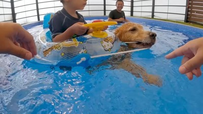 浮き輪を引っ張って泳ぐジョイくん