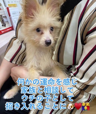 強く運命を感じた