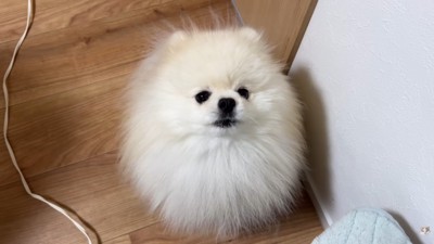 逆ギレ中の姿も可愛い（笑）
