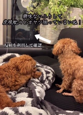 窓の反射を利用してる…！！