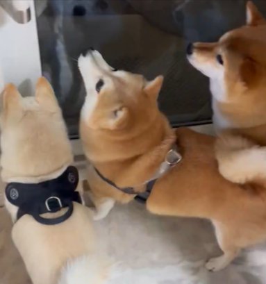 ドア前