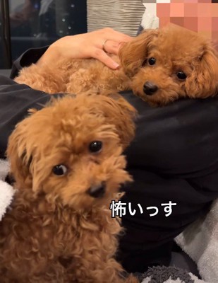 雲ちゃんも思わずブルブル