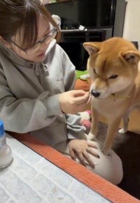 おやつをあげるフリ