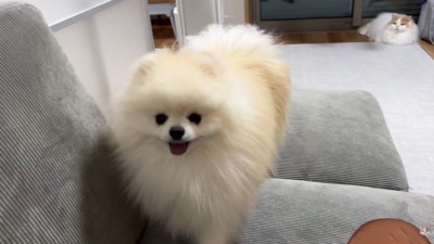 甘えに戻ってきました