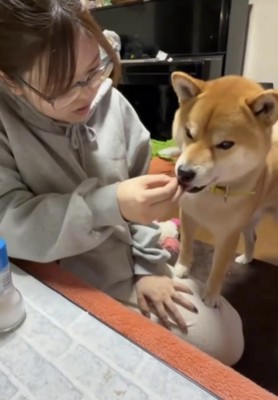 口をパクパクさせる犬