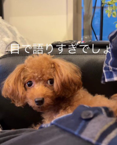 「私もいるんだけど…？」