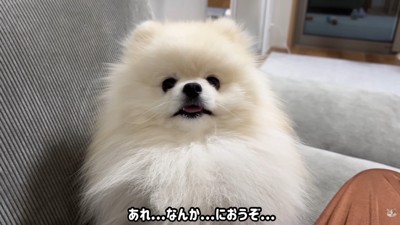 オナラのニオイが…！