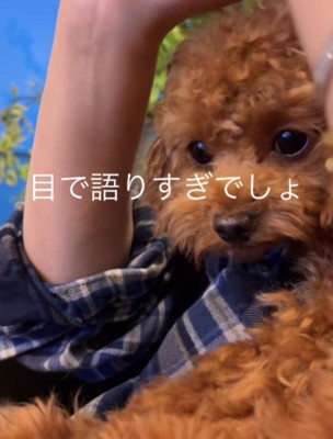 出ちゃんを抱っこしていたら…