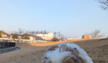 遠くから