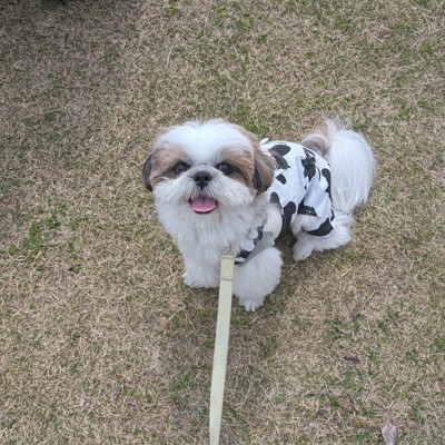 ぬいぐるみ
