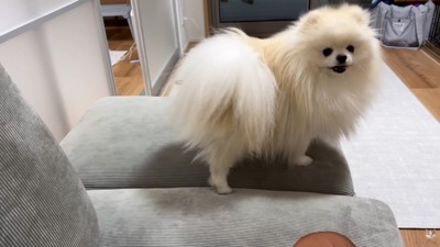 「オナラなんてしてないもん！」