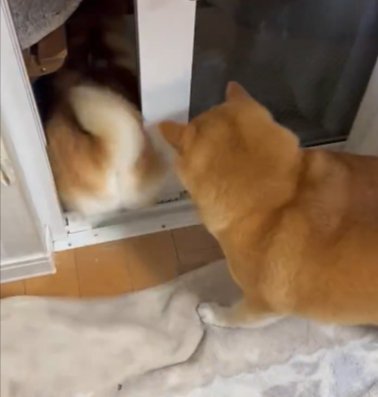 後に続く