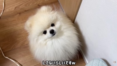 「してないのね」と認めてあげたら…