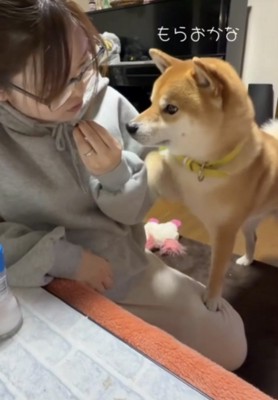 食べるフリとおねだり