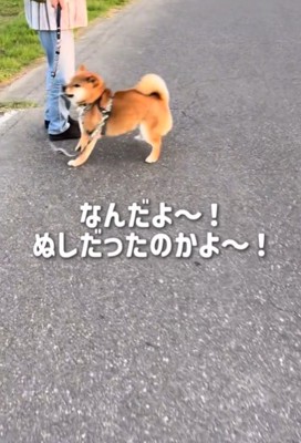 喜ぶ犬1