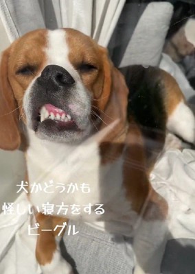 目を覚ましても…