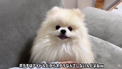 すっかりご機嫌に♪