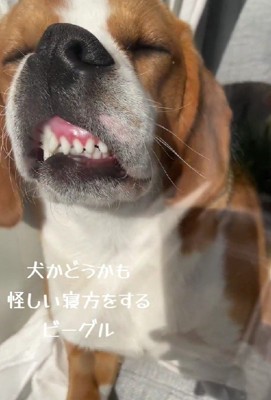 とんでもない顔に!!