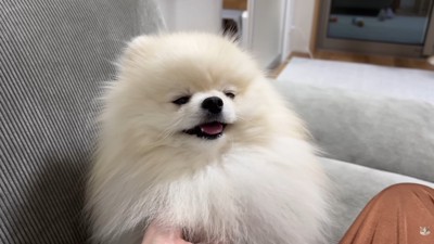 ナデナデされてうっとり♡