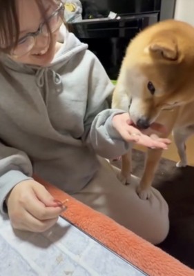 おやつを食べる犬