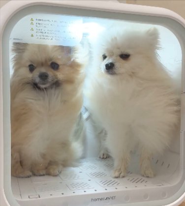 気まずい
