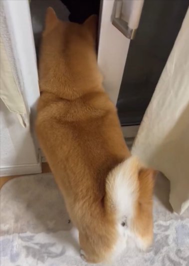 あさむら