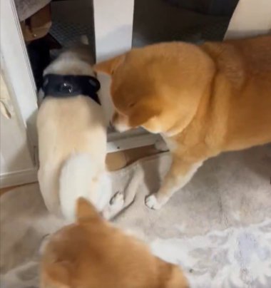 お友だち