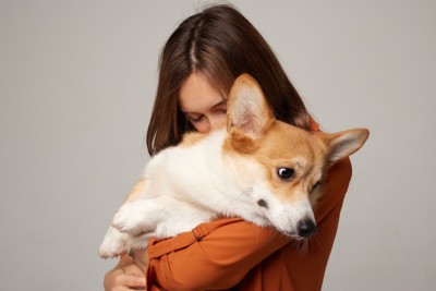 コーギー、抱きしめる