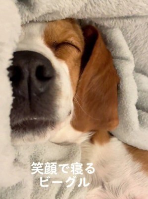 キャラクターみたいにニッコリ