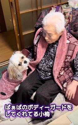 おばあちゃんと小梅ちゃん