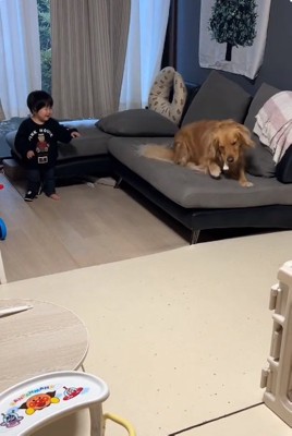 遊びに付き合うピノくん
