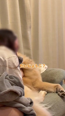 女性の顔をのぞき込む犬