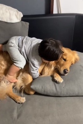 ピノくんに覆いかぶさる息子さん