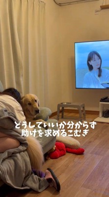犬と一緒にドラマを見ている女性